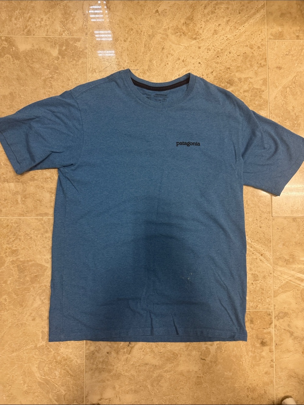 Patagonia Blue Short-Sleeve Logo Tee